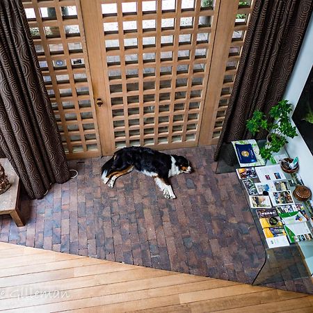 La Petite Bruyere De Renaix Bed & Breakfast Екстериор снимка