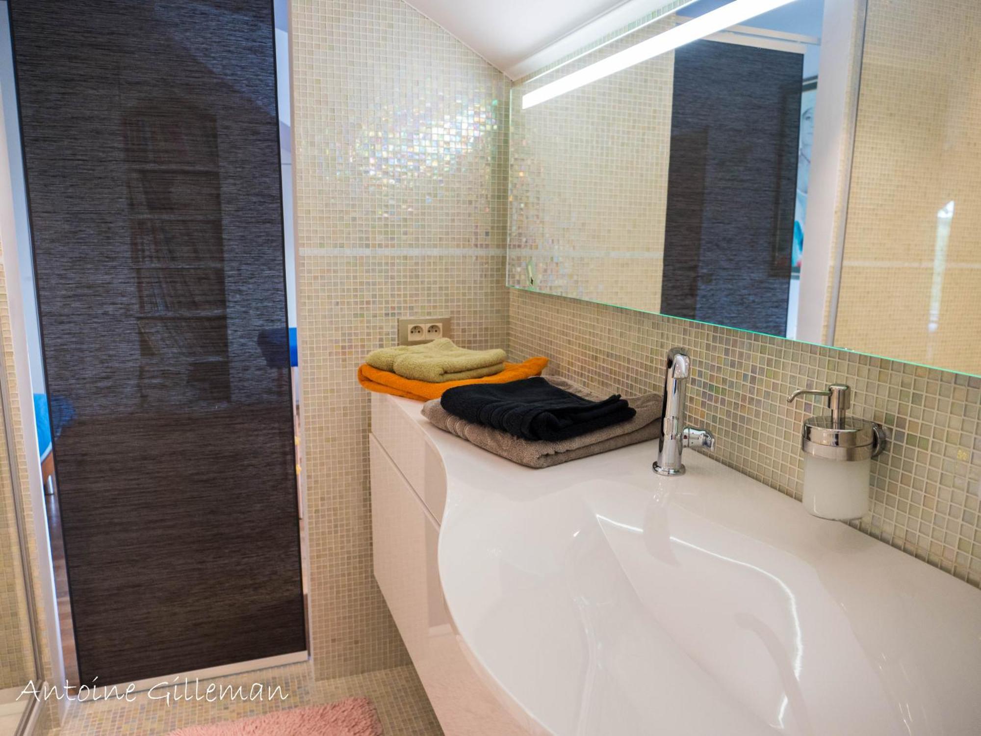 La Petite Bruyere De Renaix Bed & Breakfast Екстериор снимка